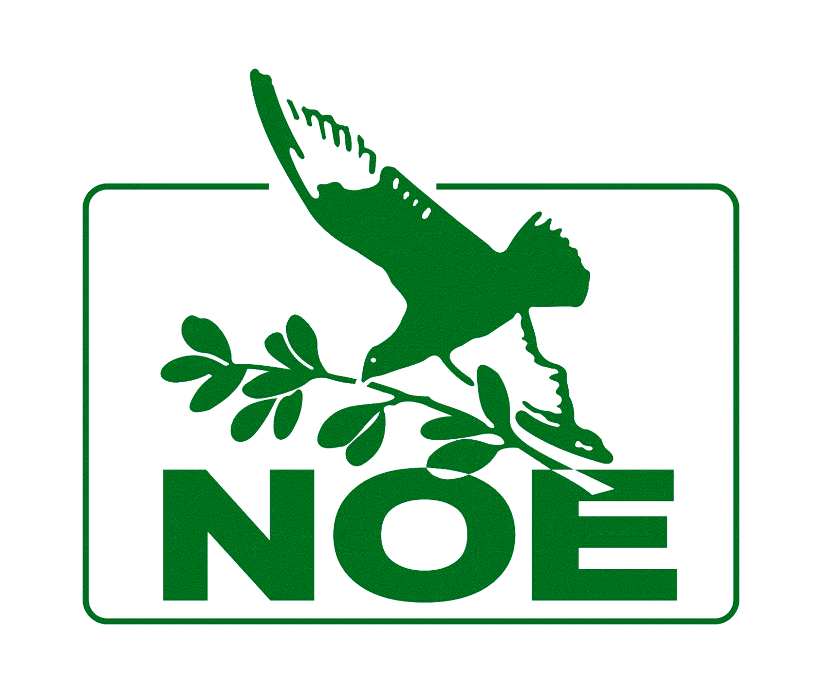 Tv Noe Tv Noe